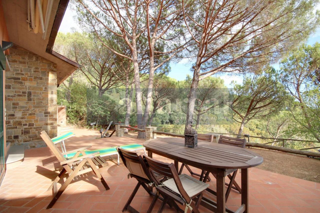 Villa Piemonte, 3 Camere, 3 Bagni, E Splendida Vista Mare! By Alfareal Castiglione della Pescaia Eksteriør billede